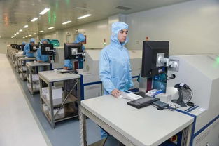 讓數據多跑路，讓群眾少跑腿 重慶出入境“只跑一次”服務獲群眾贊譽